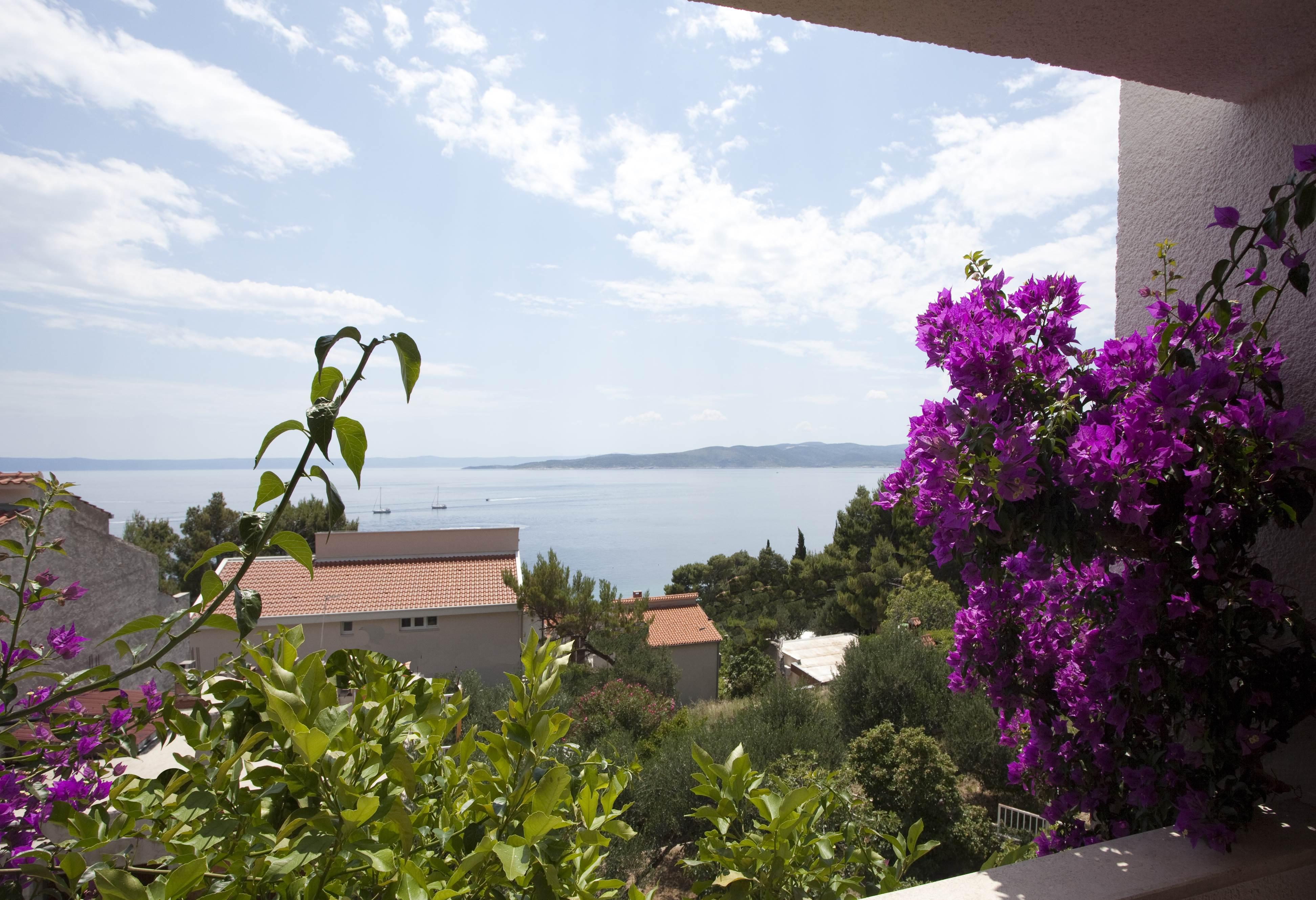 Villa Skalinada, 8 Persons, Private Pool, Baska Voda Exterior photo